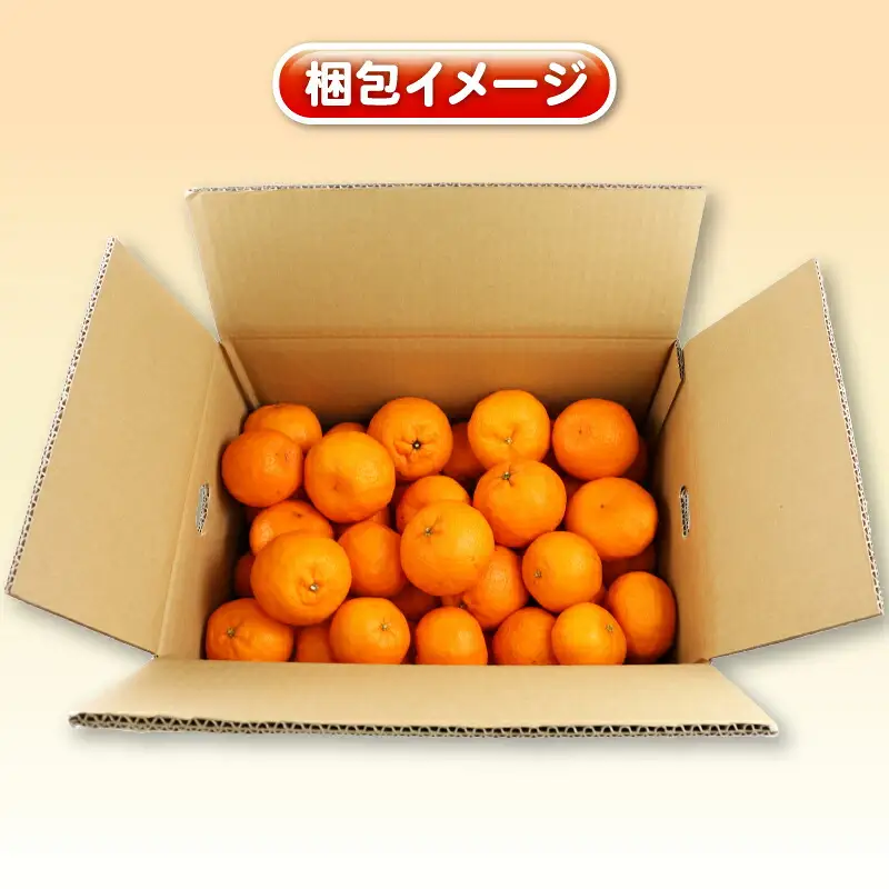 【先行予約】訳あり ポンカン 5kg 杉本屋 【2027年1月中旬～2月下旬 発送】B010-143005