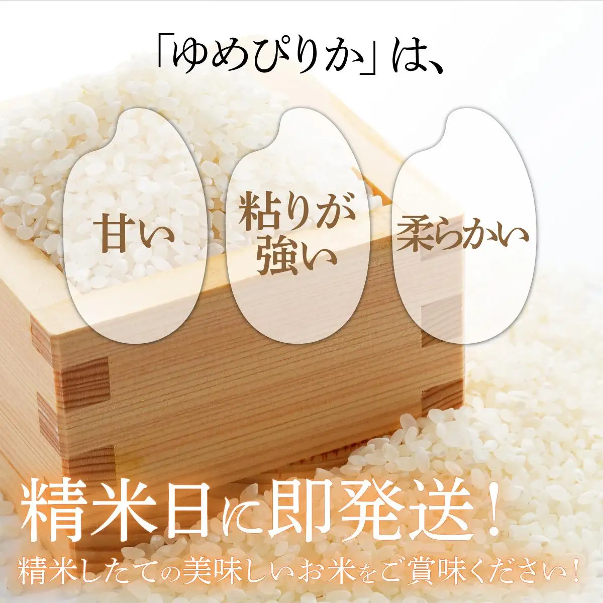 ＜先行予約＞令和8年産 ゆめぴりか 精米 2kg【tkk-001_01】