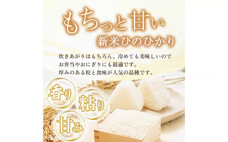【定期便 全12回】【令和7年産米】無洗米ヒノヒカリ 10kg×12回（お米 米 ひのひかり 無洗米 令和7年産 国産 人気 お弁当 定期便 宮崎県 小林市）