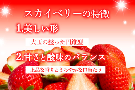 [先行予約] 日光産 とちあいか＆スカイベリー 約300g×各1パック 計600g 【2027年1月中旬から順次発送】 [0971]