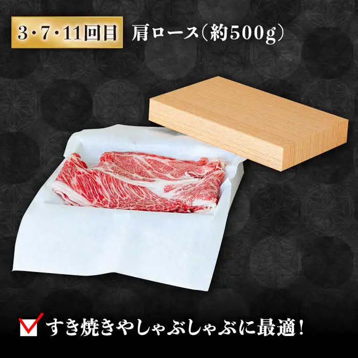 【豪華12回定期便】長崎和牛 食べ比べ [SCH055] ヒレステーキ ヒレ