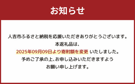 ふるさとのお茶を水出しで！ ボトル セット 緑茶 