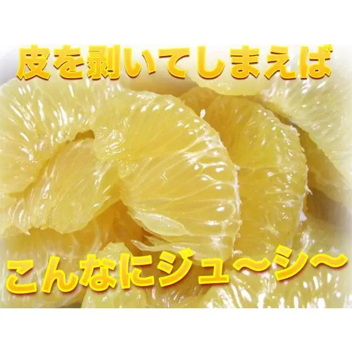 ［訳あり］ 和歌山産 八朔 5kg ［ご自宅用・サイズ不揃い・キズ等あり］