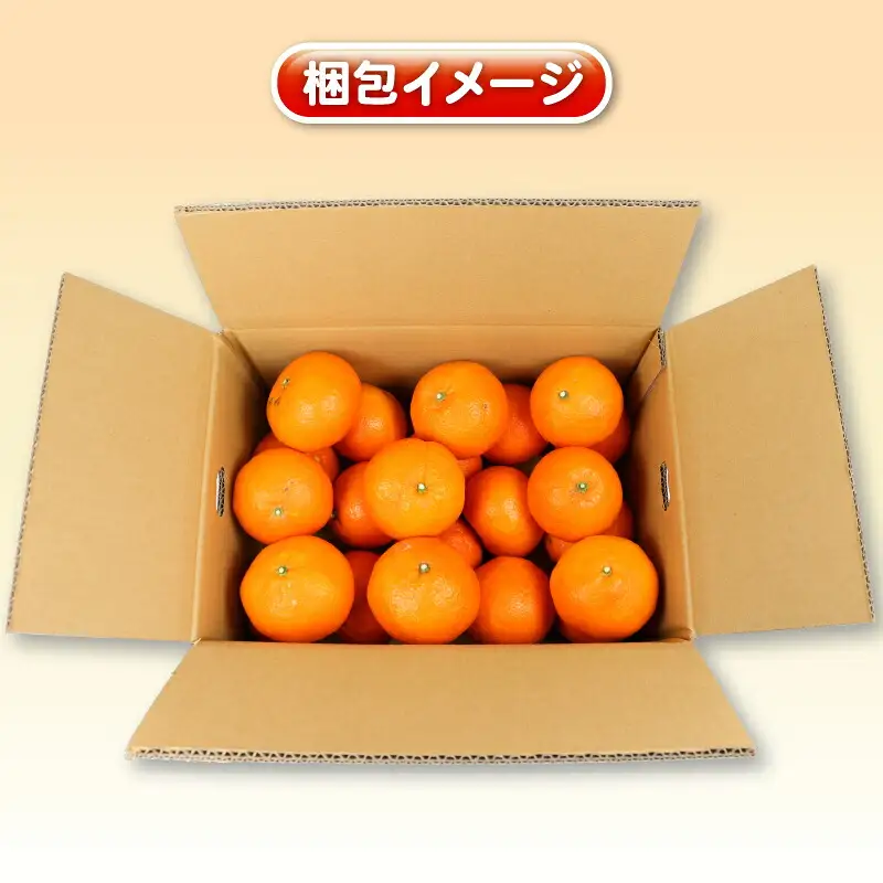 【2026年1月中旬～発送予定】訳あり伊予柑5kg杉本屋 果物 果物 B010-143006