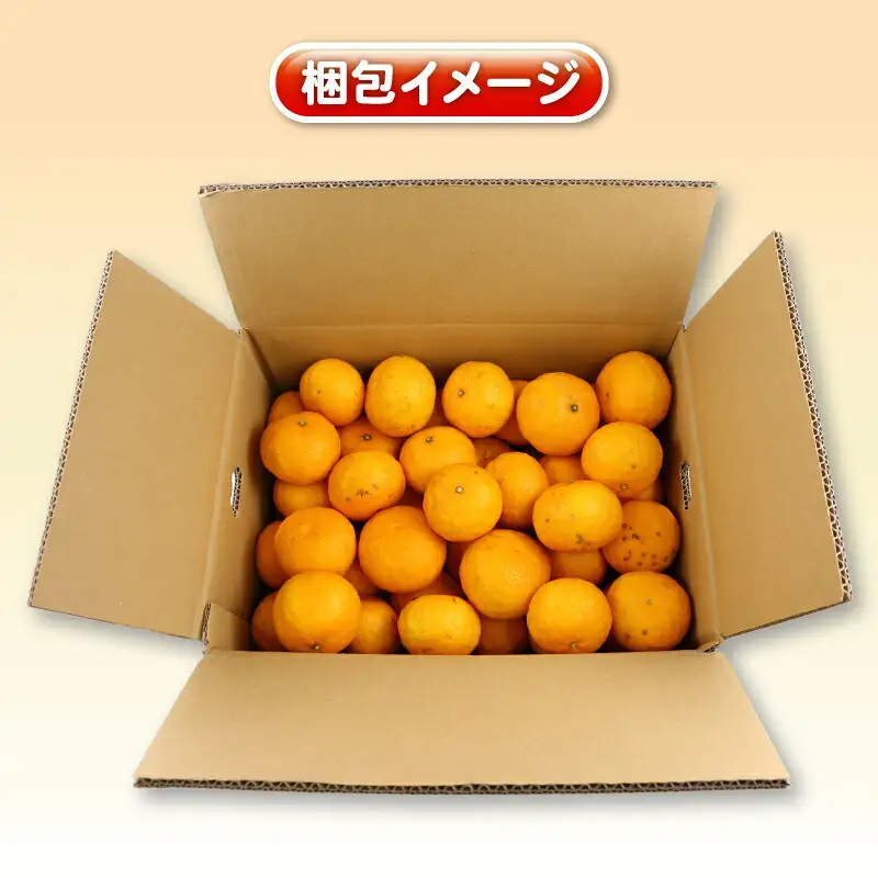 訳あり ひめのつき 5kg 杉本屋 柑橘 柑橘 B010-143007