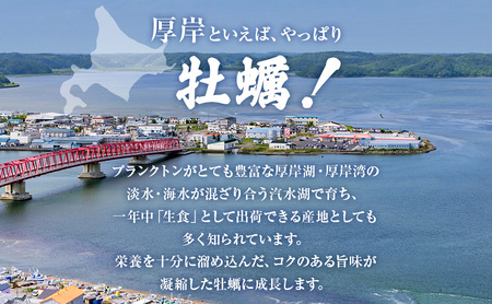 殻牡蠣 LLサイズ 15個 セット 産地直送 生食用 厚岸産 牡蠣