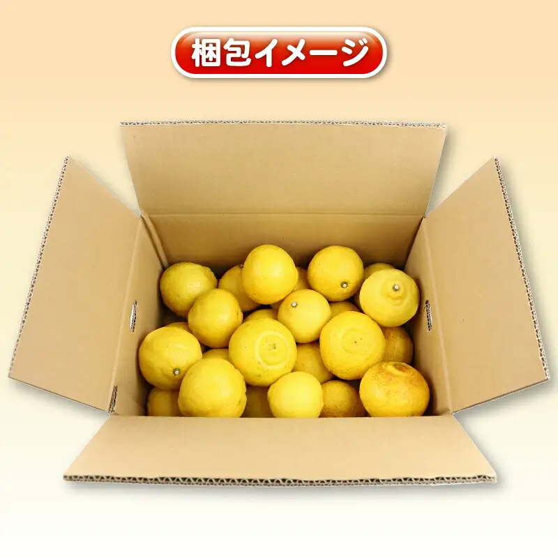 はるか 訳あり はるか 5kg 杉本屋 B010-143008