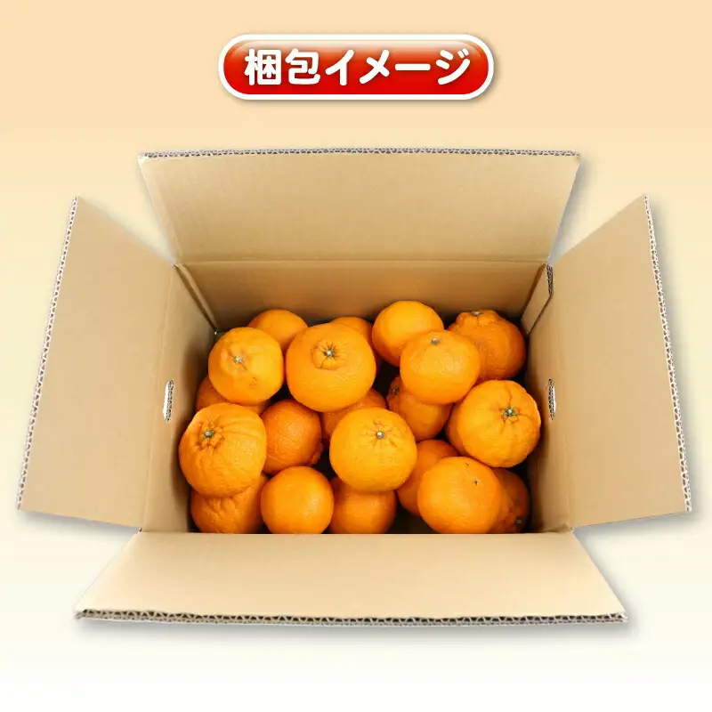 訳あり ( デコポン と同品種) デコポン 杉本屋 B010-143009