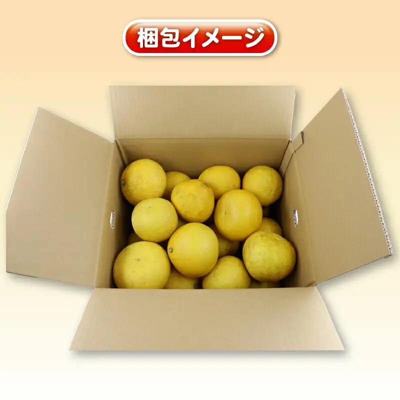 杉本屋 土佐文旦 8kg 文旦［B010-143010］