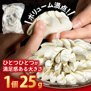 満腹餃子 リピーター続出！ボリューム満点！120個（３kg ）老舗 大容量 国産 焼き餃子 冷凍 ぎょうざ ギョーザ 冷凍餃子 簡単調理 惣菜 おかず おつまみ スタミナ 高評価 水戸市 茨城県（EJ-13）