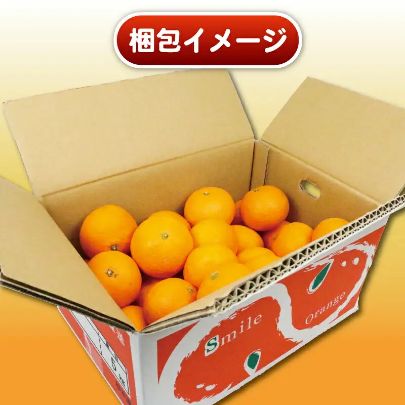 訳あり 清見 オレンジ 5kg 杉本屋 オレンジ B010-143011