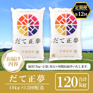 ＜12ヶ月定期便＞宮城県産 だて正夢 合計120kg (10kg×12回) お米 おこめ 米 コメ 白米 ご飯 ごはん 伊達 だてまさゆめ おにぎり お弁当 ブランド米 頒布会【株式会社パールライス宮城】ta338