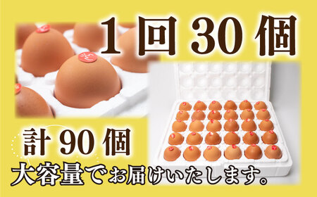 【3回定期便】 卵 計90個 卵