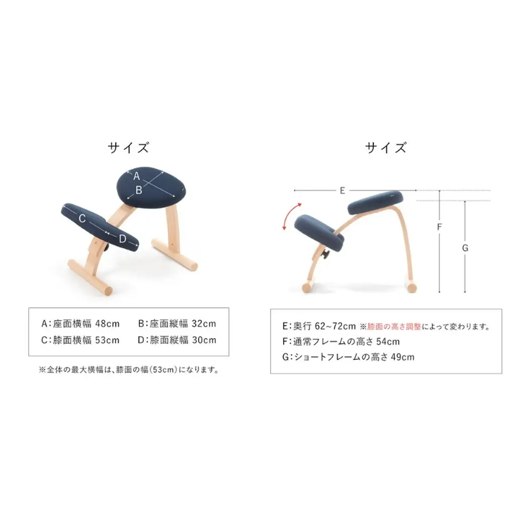 椅子 バランスイージー カバー付き 選べる カラー 椅子 通常Lブルー+Sブルー