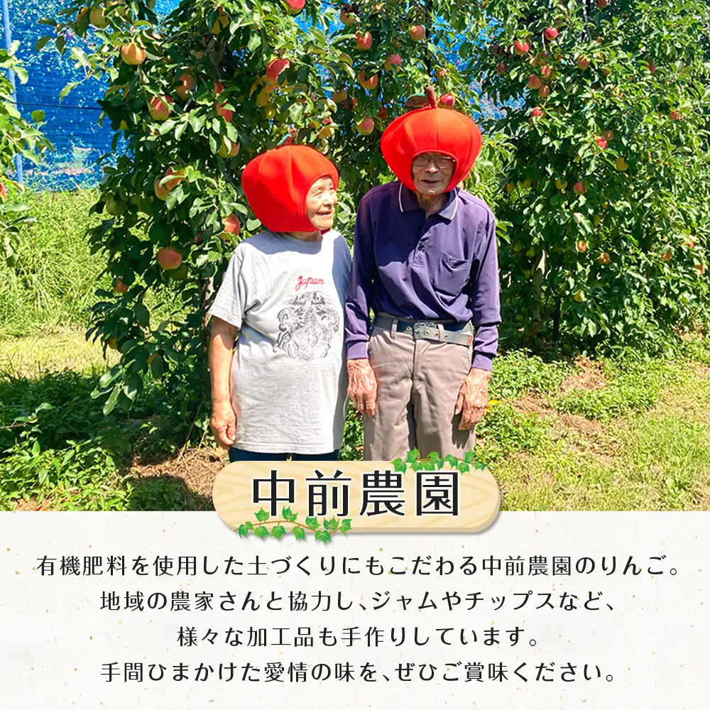 ≪10月中旬以降発送≫りんご 国産 3kg 農家直送 中前農園 芸北りんご 林檎 シナノスイート ぐんま名月 ジョナゴールド ふじ_NA099_001
