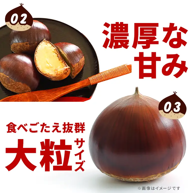 アカツファ－ムのぽろたん 生栗3L 2kg GA-014