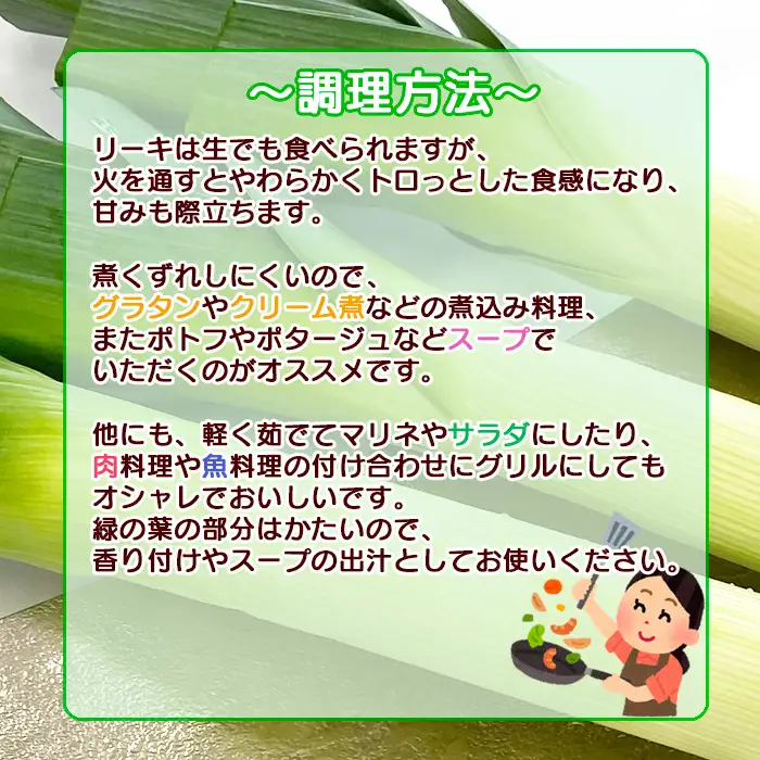 岩手県産 リーキ 1kg 【みのり風土】 ／ 西洋ねぎ ポロネギ ポワロ ポロ ポアロ リーク