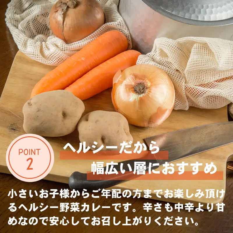 カレー専門店Sabziオリジナル野菜カレー 180g×25食(合計4.5kg)