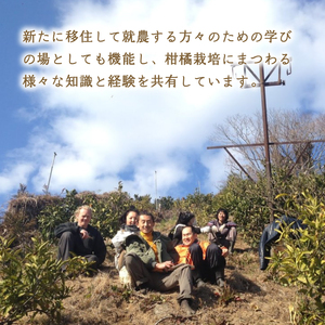 【順次発送中】 極早生 温州みかん 5kg みかん 柑橘 【NO0011】