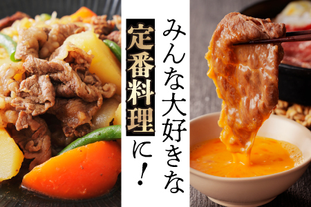 宮崎牛 肩 ロース ウデ スライス セット 計700ｇ 牛肉 肉 国産 しゃぶしゃぶ すきしゃぶ スライス 食べ比べ 小分け 赤身 ブランド牛 ギフト 贈り物 九州 宮崎 霜降り_A0001-058