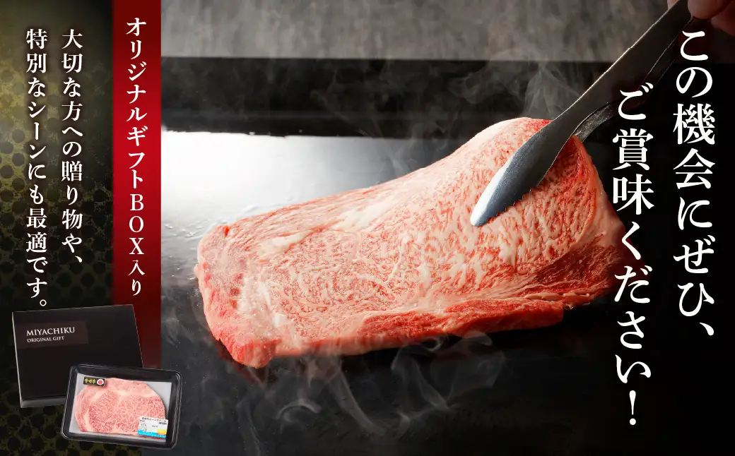 宮崎牛 ロース ステーキ 2枚 500ｇ 牛肉 肉 国産 小分け ブランド牛 ギフト 贈り物 九州 宮崎 霜降り_A0001-059