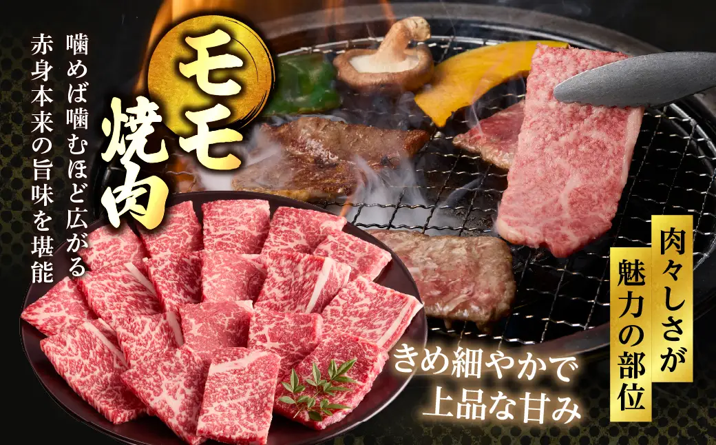 宮崎牛 焼肉 食べ比べ セット 1.1kg 牛肉 肉 国産 焼き肉 スライス 小分け 赤身 ブランド牛 ギフト 贈り物 九州 宮崎 霜降り 赤身_A0001-064