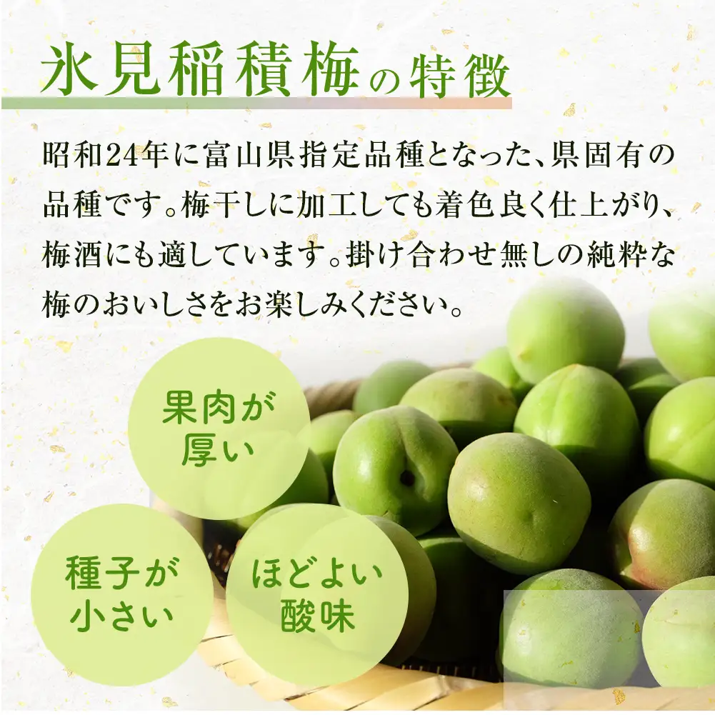 梅干し お米（10kg）付き！　｜　富山県 氷見市 固定種 稲積梅 梅 梅干し 手作り 果実 昔ながら 無添加 酸っぱい 肉厚 お米 セット GI認証 GI登録