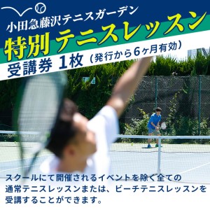 テニスレッスン 小田急藤沢テニスガーデン 受講券 テニスレッスン【1枚】