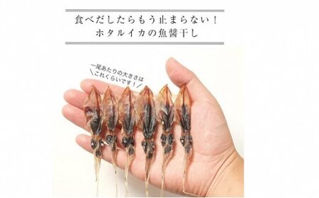 越中氷見屋　ホタルイカ 魚醤干し 18尾入り × 11袋 〈冷凍〉 ホタルイカ