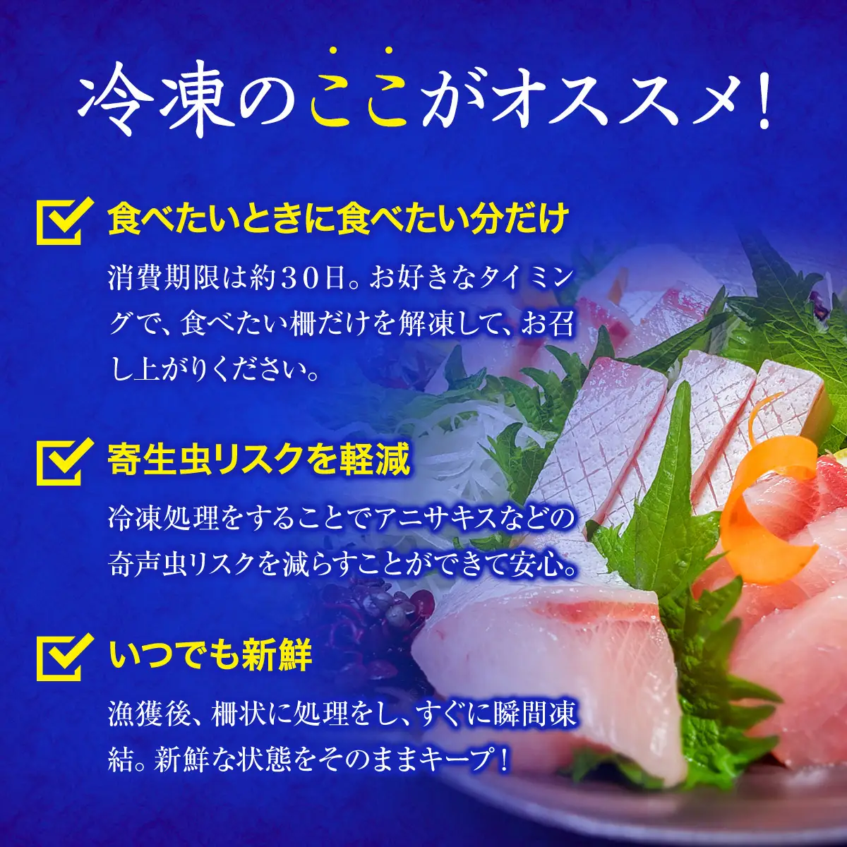 【偶数月 全3回 定期便】氷見漁港 海鮮刺身セット | 詰め合わせ 冷凍 刺身