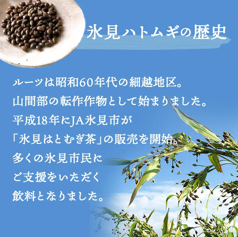 【6ヶ月定期便】　氷見はとむぎ茶　ペットボトル500ml×24本 | お茶 定期便 ６ヶ月 連続 富山 氷見 ハトムギ 茶 飲料 国産 ドリンク 常温 緑茶入り 24本 ヨクイニン 保存 特産品 地域還元 備蓄 常備品 災害 非常用