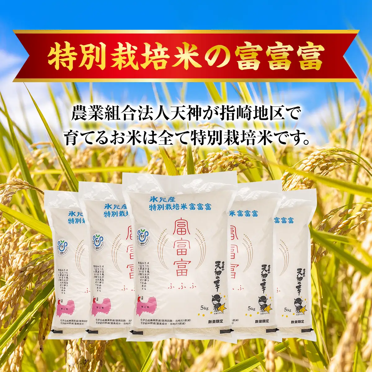 【特別栽培米】令和7年産 富山県産 "富富富" ５kg 