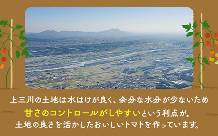 うえの農園トマト詰め合わせセット ぜいたくトマト ミニトマト◇