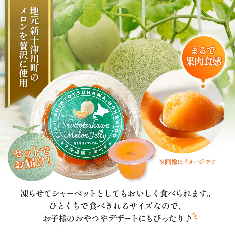 【数量限定】 赤肉メロン２玉・ミニメロンゼリーセット【令和8年７月～８月上旬発送】【1201707】