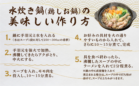 鍋 セット 水炊き鍋 3～4人前 鶏しお鍋 飛騨地鶏 スープ付 ラーメン付 モモ肉 手羽元 [DK011]
