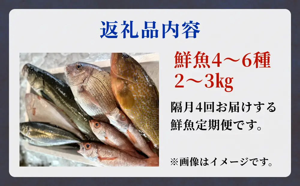 【隔月4回定期便】氷見港朝獲れ高級魚！丸っと贅沢直送便！　船上氷上締め　神経〆処理 富山 氷見 直送 詰め合わせ 定期便 鮮魚ボックス