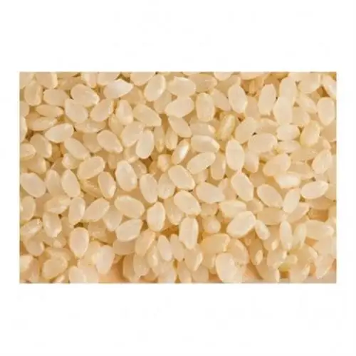 【令和8年産】コシヒカリ　玄米5kg【1443652】