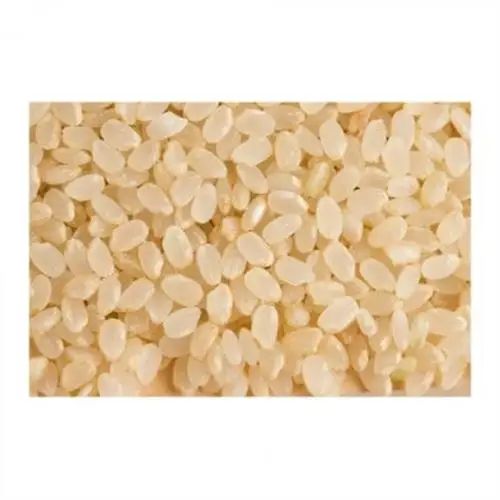 【令和8年産】ヒノヒカリ　玄米5kg【1443670】