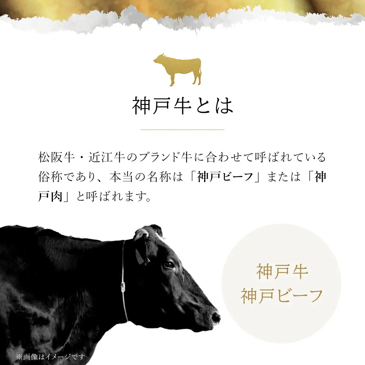 【和牛セレブ】神戸牛６種の希少部位焼肉食べ比べ500g AS33D31