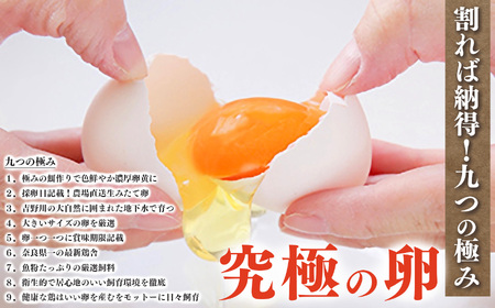 五條のたまご 食べ比べセット 計30個 | 卵 たまご 玉子 タマゴ 生たまご 生卵 奈良県 五條市
