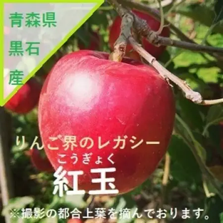 青森県産りんご　’はあと’紅玉　3K箱_果物・フルーツ りんご  リンゴ 林檎_【1425256】