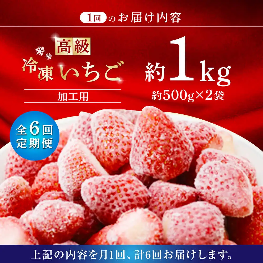 【6回定期便】高級 冷凍  いちご 加工用 約1kg（約500g×2袋）【伊藤農園】  果物 フルーツ イチゴ いちご 苺 熊本県 特産品 オーガニック 有機 恋みのり 冷凍 [ZBB016]