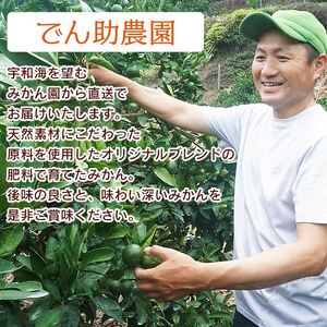 でん助農園の温州みかん（極早生）訳あり 約10kg MDN0010