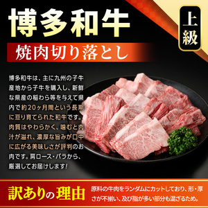 ＜訳あり＞【A4～A5】博多和牛焼肉切り落とし(肩ロース・バラ)(500g) 国産 九州産 福岡県産 牛肉 和牛 黒毛和牛 ヤキニク やきにく 焼き肉 お肉【MEAT PLUS】as08-028