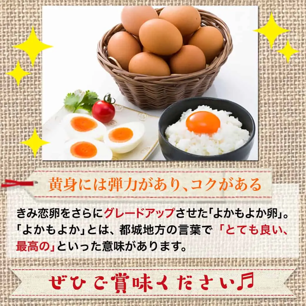 よかもよか卵85個の定期便(5ヶ月)〔T85-5-29-010-85〕_(都城市) 卵 定期便 Mサイズ こだわりの卵