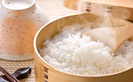 【中野米店】令和6年　只見産　コシヒカリ　白米　10kg　2ヵ月連続発送（合計20kg） お米 ライス ご飯 主食 自然首都 おにぎり お弁当 福島県産 ユネスコエコパーク 精米 2回 お届け 