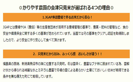 【かりやす農園】令和4年　只見産　コシヒカリ　白米　10kg　3ヵ月連続発送（合計30kg） お米 ライス 精米 ブランド米 ご飯 炭水化物 毎食 食卓 主食 おにぎり 