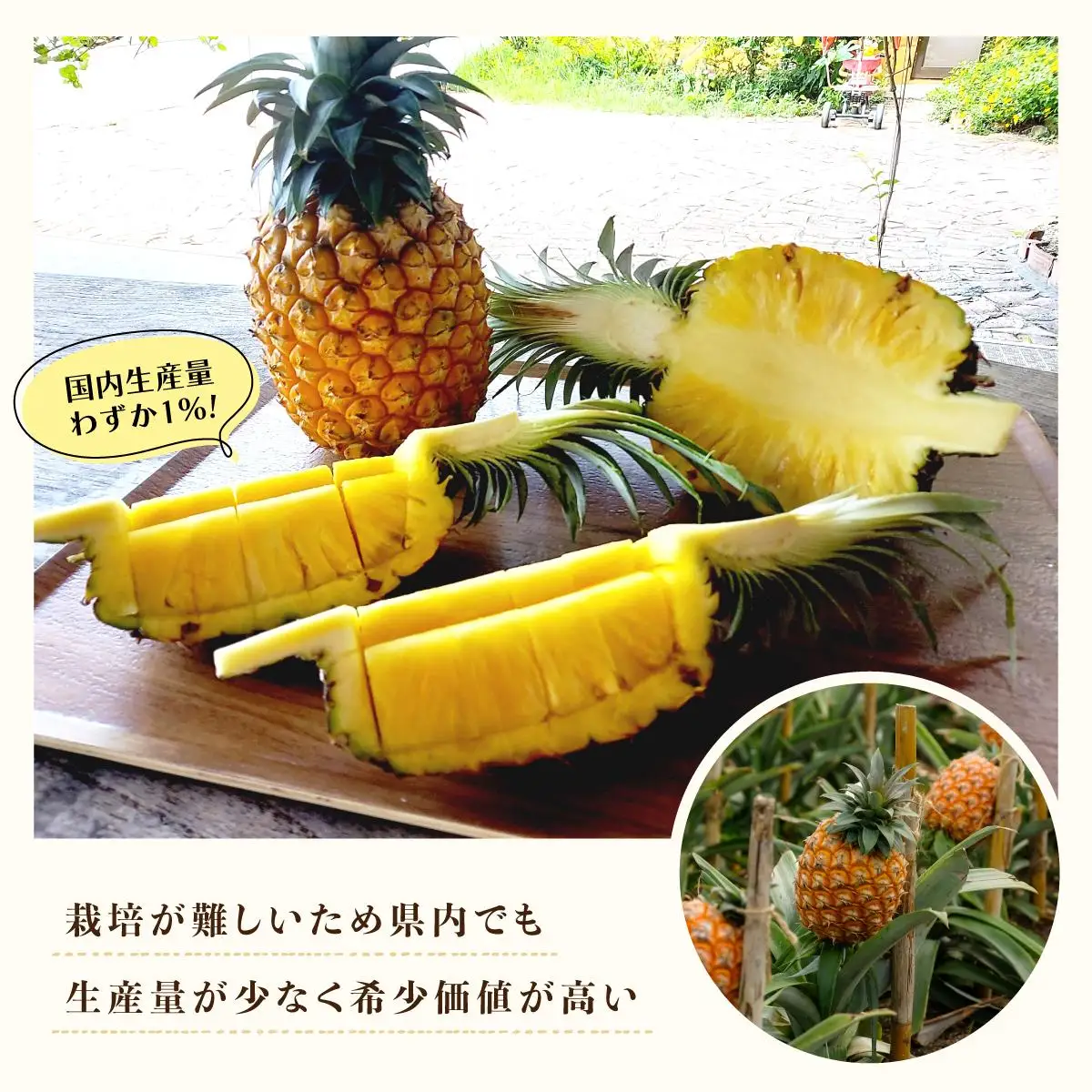 完熟 ゴールドバレル 約3kg