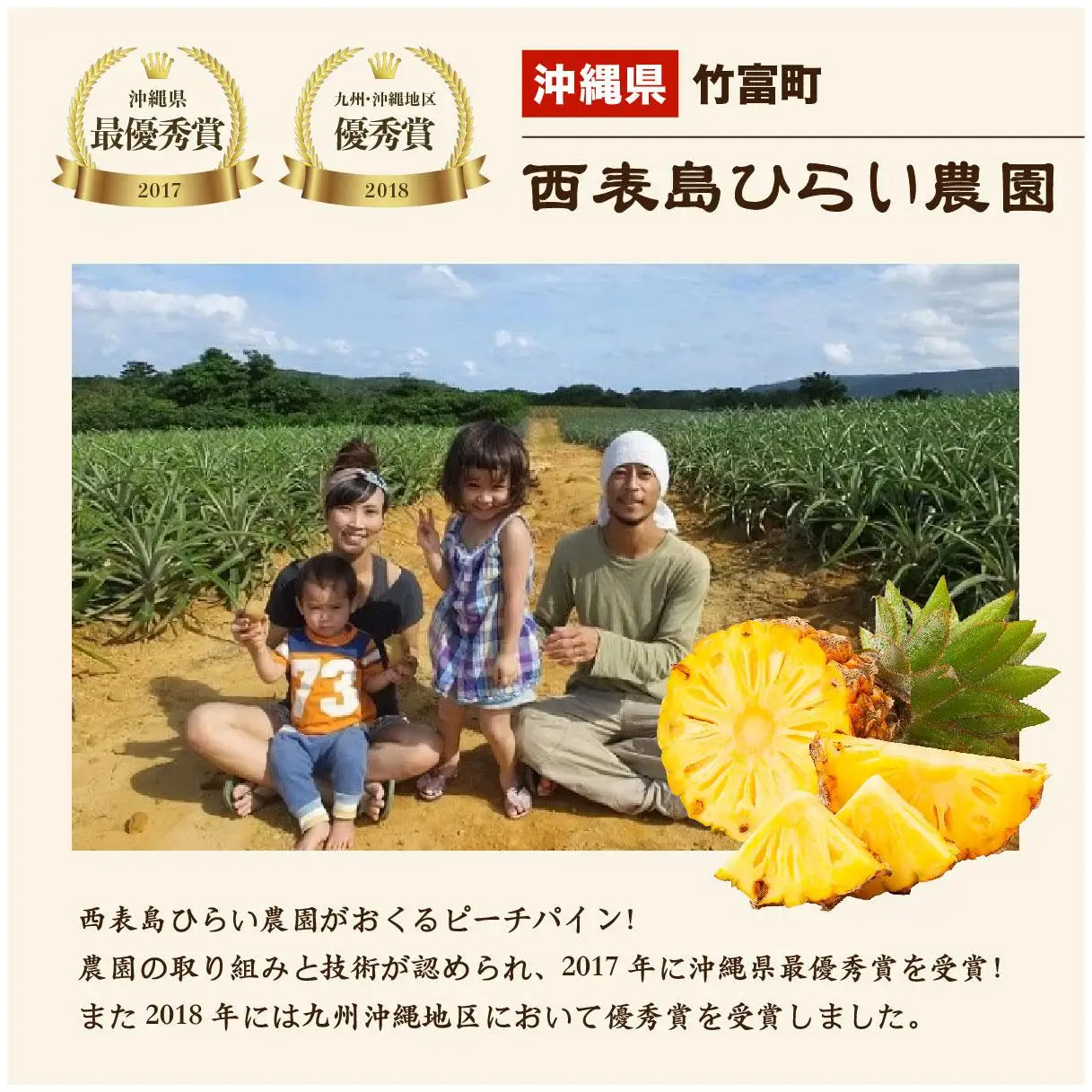 【2027年 先行予約】ピーチパイン 約7kg 