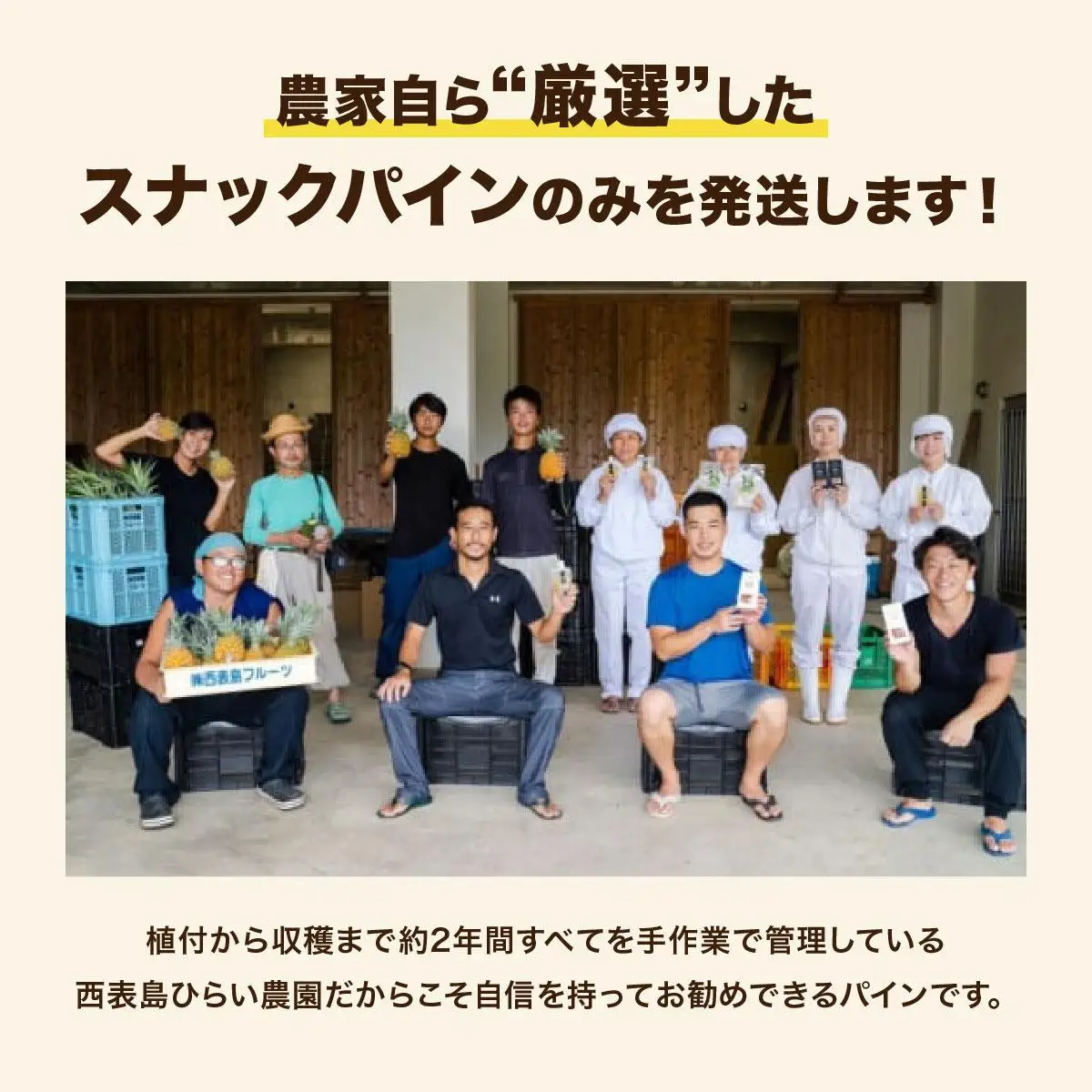 【2027年 先行予約】スナックパイン 約2kg 